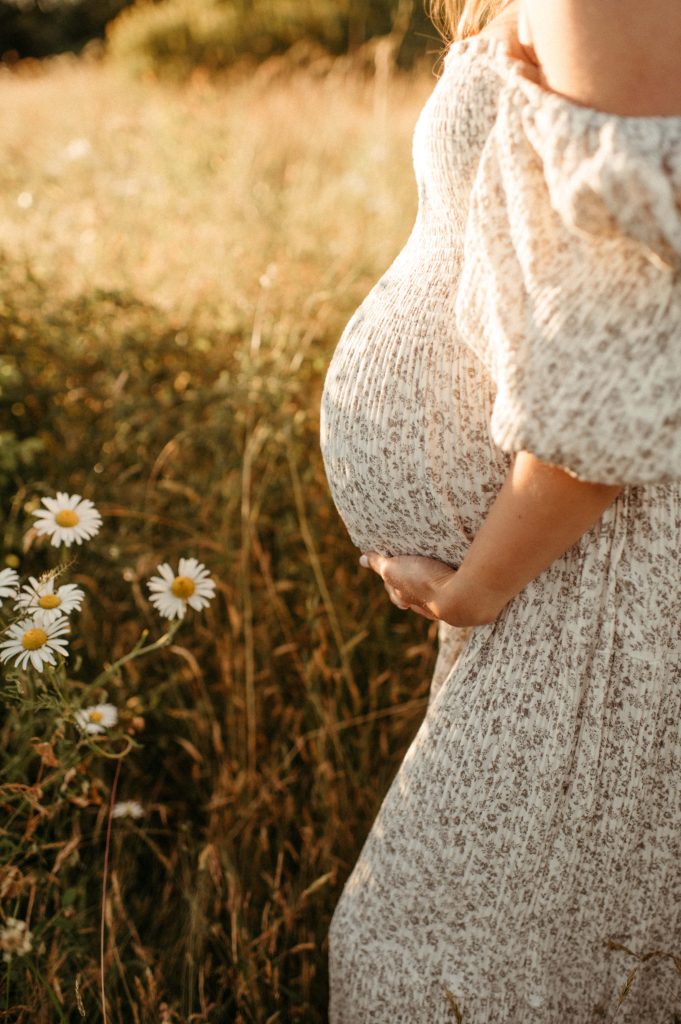 pregnant belly surrounded by daisies white rock