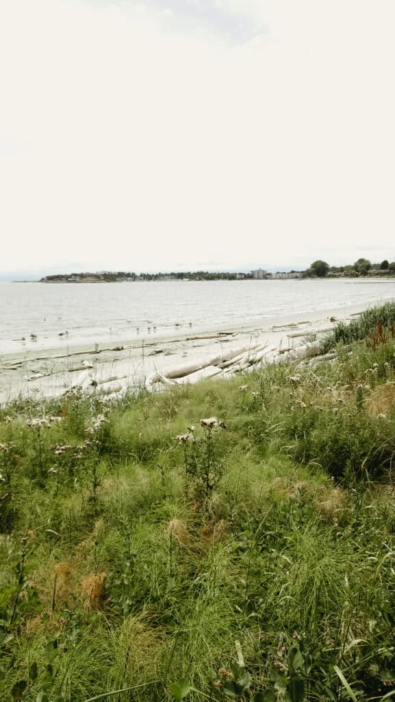 Willows Beach Oak Bay